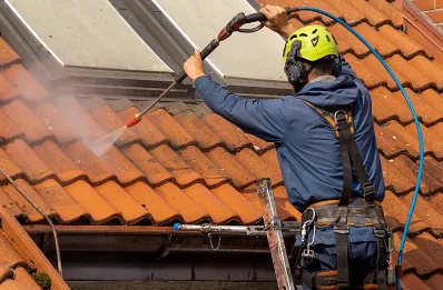 Démoussage et hydrofuge de toiture à Criquiers